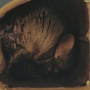 Meet your Posher, Ash